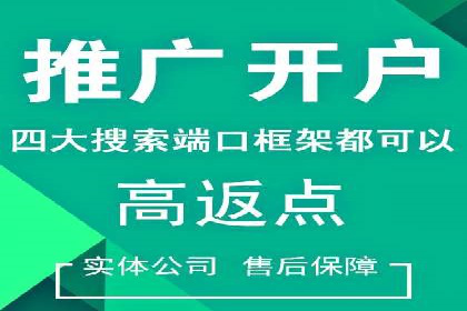 百度竞价广告与自然搜索排名的结合策略案例